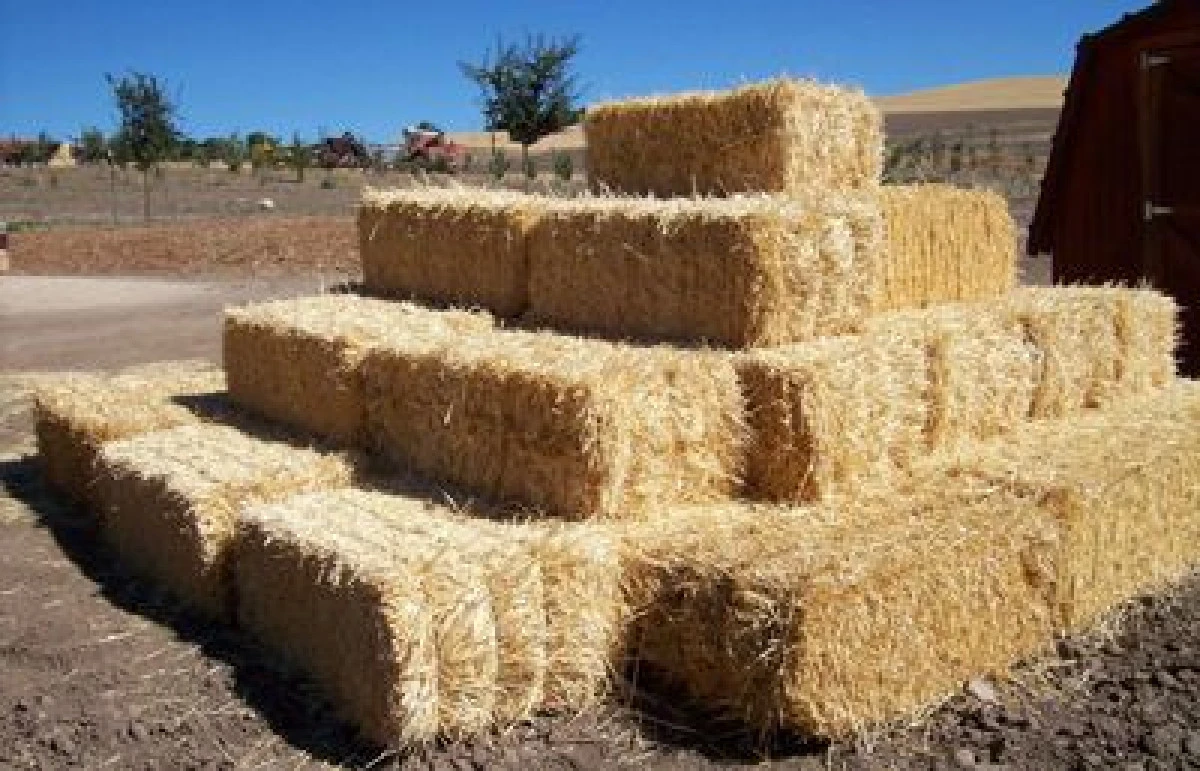 DOUA PERSOANE AU FURAT 260 DE KILOGRAME DE LUCERNA