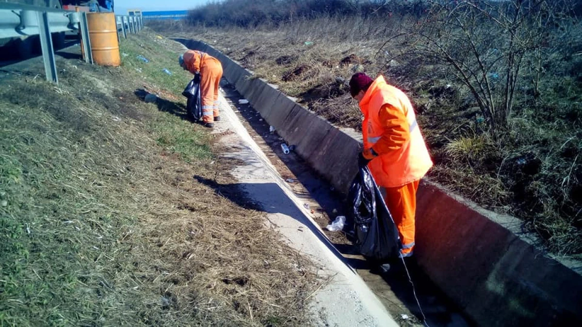 Drumul spre Vama Nădlac, transformat în groapă de gunoi