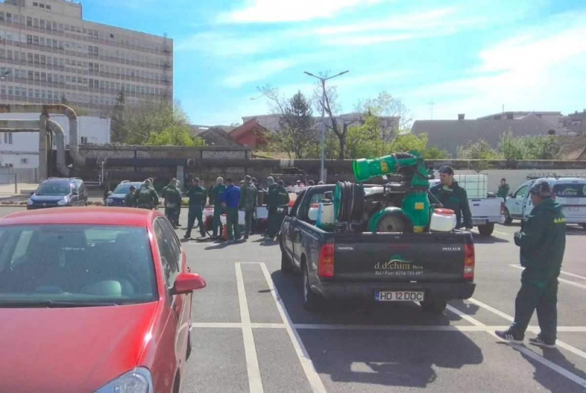 După ce a trimis în spital zeci de elevi arădeni, firma de casă a Primăriei a revenit pe străzile orașului