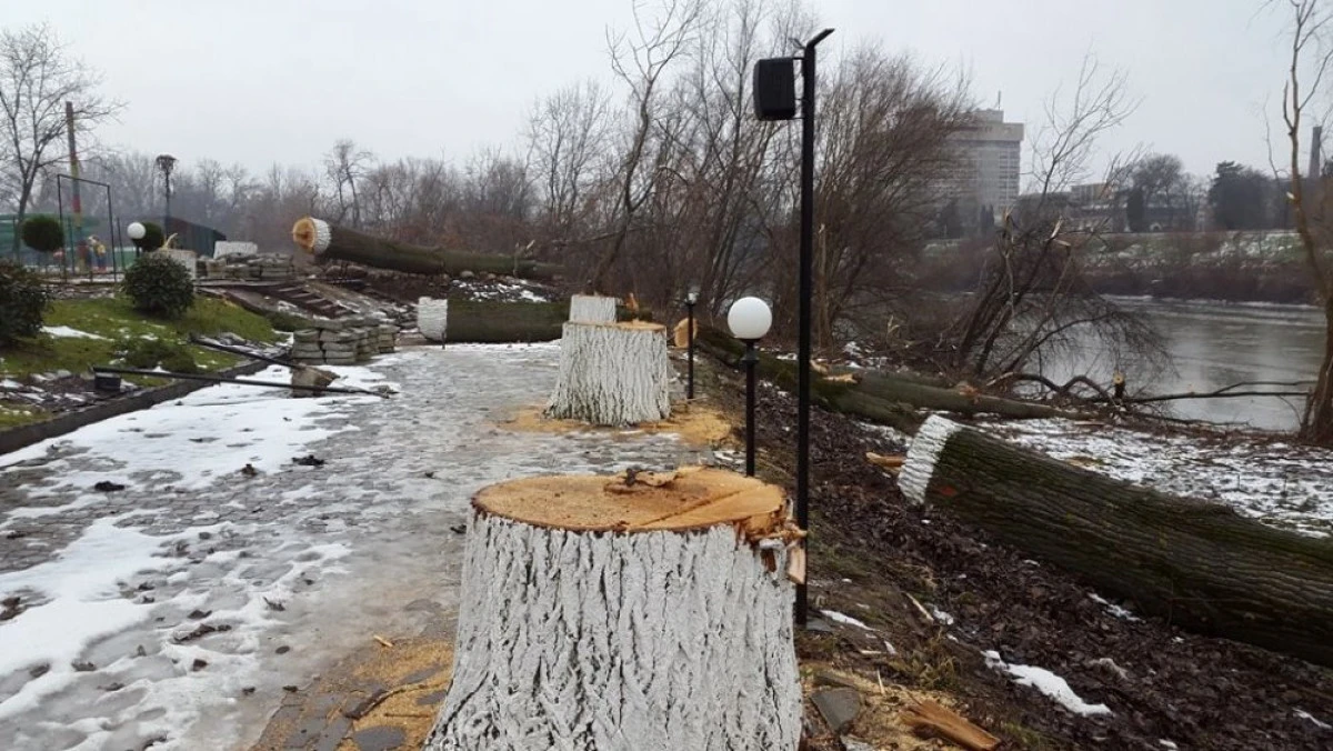 DUPA CE A VRUT SA DESFIINTEZE PARCUL EMINESCU, FALCA VISEAZA LA ARAD CAPITALA VERDE A EUROPEI 2018