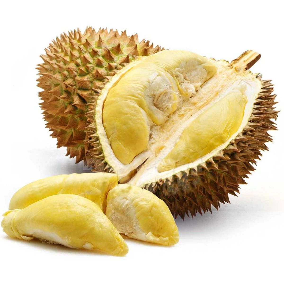 DURIANUL FRUCTUL REGILOR