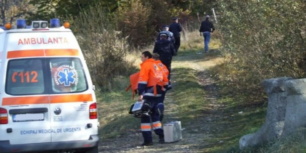 Echipaje de polițiști și jandarmi au căutat ore întregi o persoană prin pădurea de lângă Păuliș, în urma unui apel fals la 112