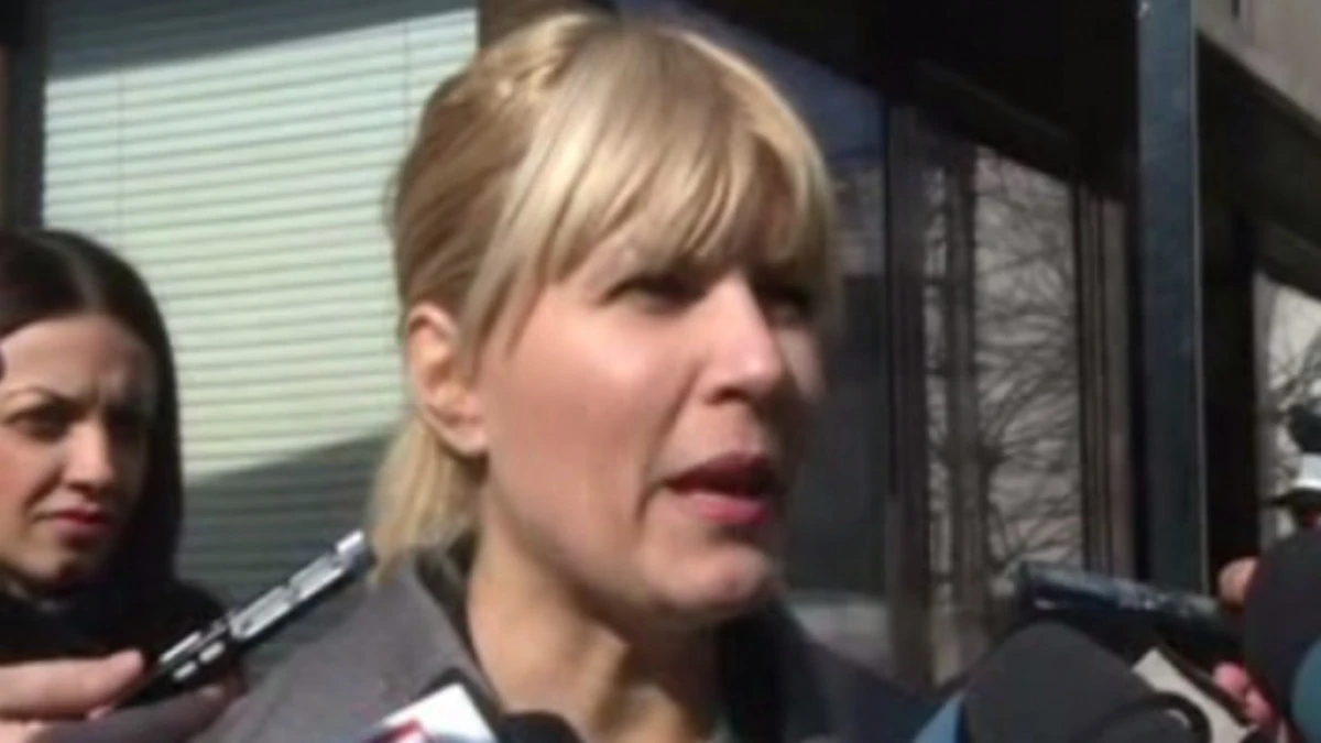 ELENA UDREA POATE MERGE IN PARLAMENT. "LUNI MA VOI PREZENTA PENTRU A-MI SPUNE PUNCTUL DE VEDERE"
