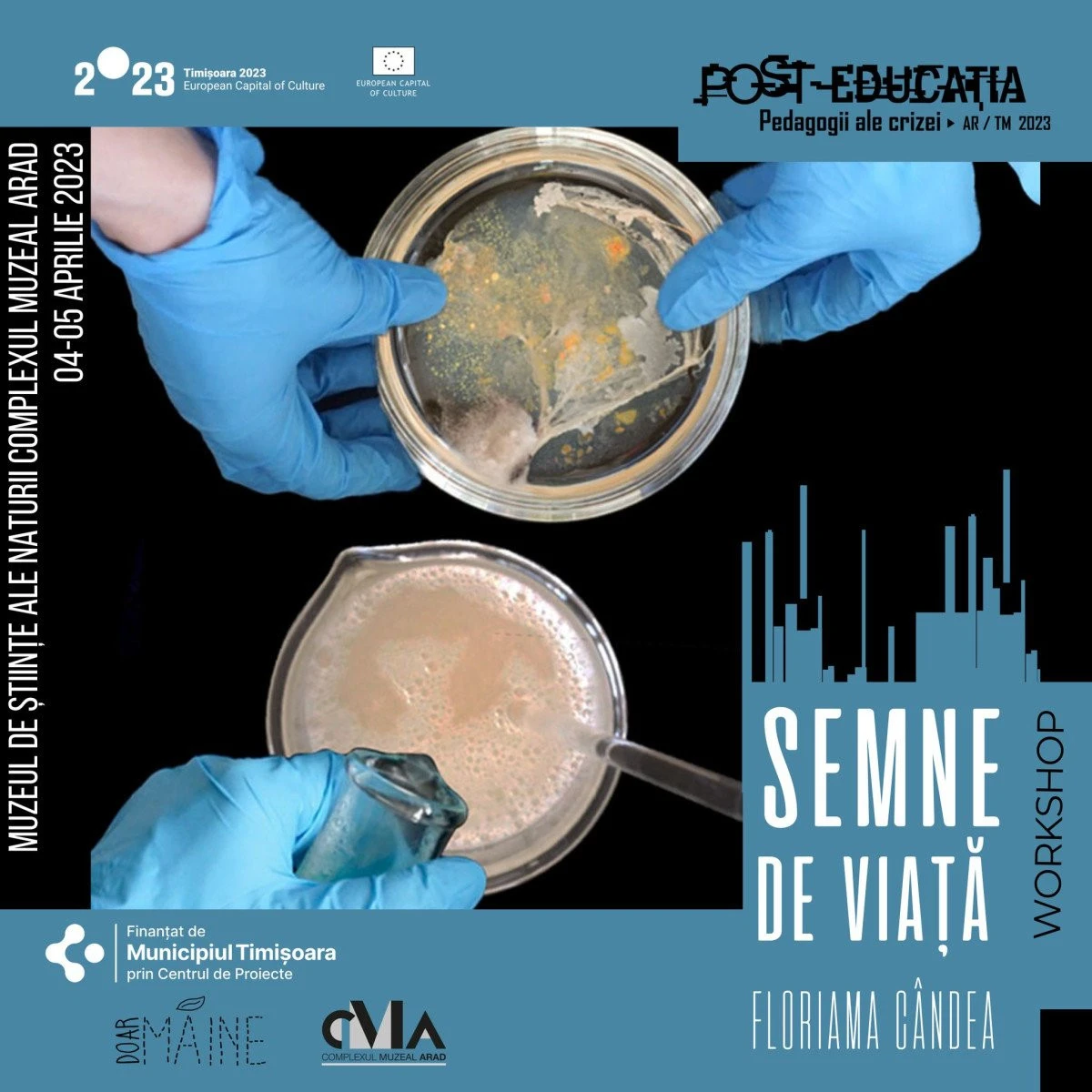 Elevii arădeni fac experimente artistice cu... bacterii și fungi
