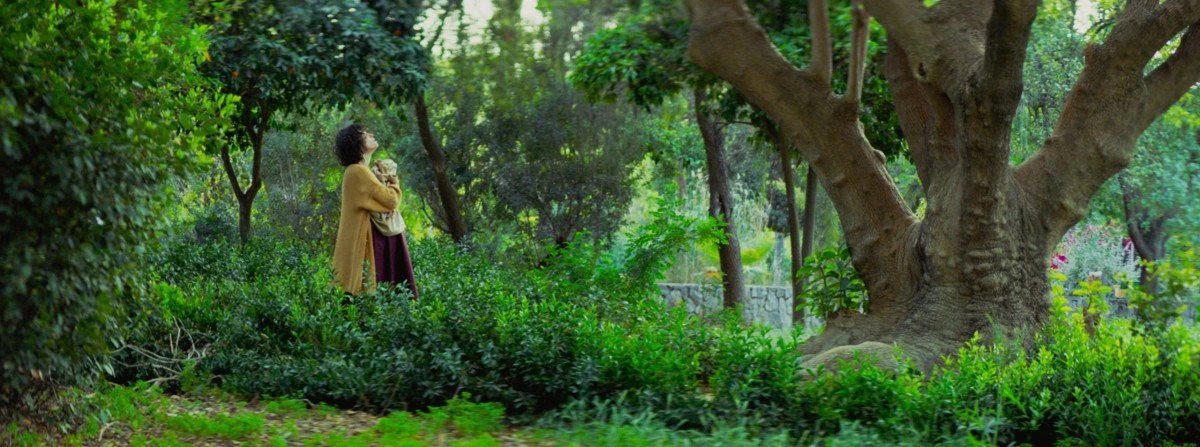 „Embryo Larva Butterfly“, proiecție din cadrul Festivalului de film și cultură balcanică, la Cinematograful „Arta“ din Arad