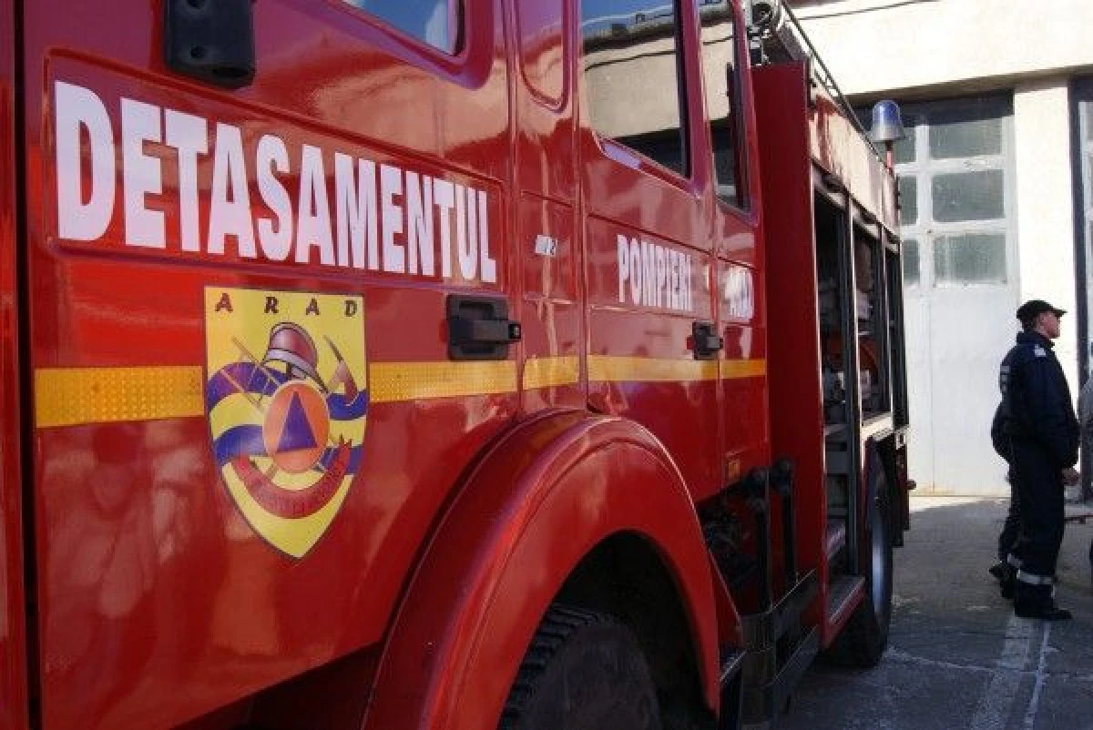 EXERCIȚIU DE SIMULARE A UNUI INCENDIU DE PĂDURE LA MONEASA