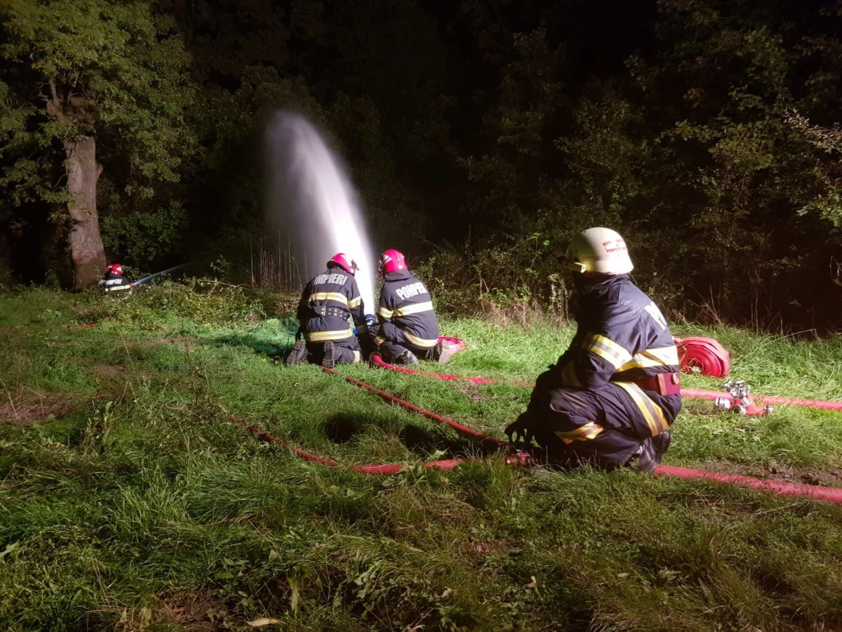 Exercițiu la Ceala: a luat foc pădurea
