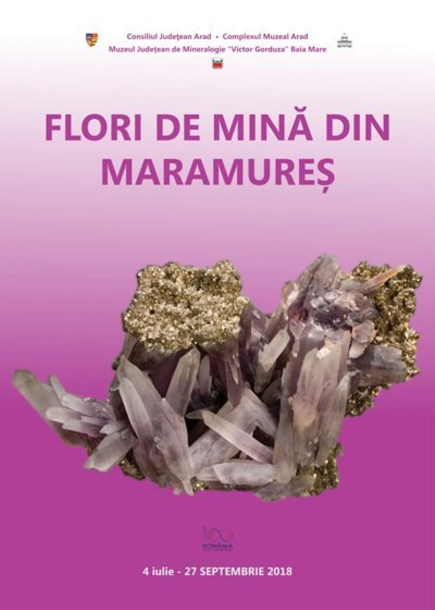 Expoziția ”Flori de mină din Maramureș”, la Compexul Muzeal Arad