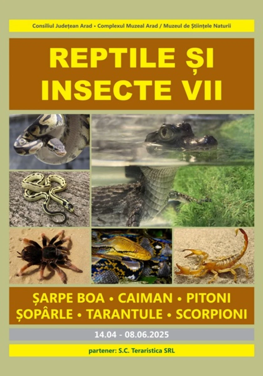 Expoziție de reptile și insecte vii, la Complexul Muzeal Arad