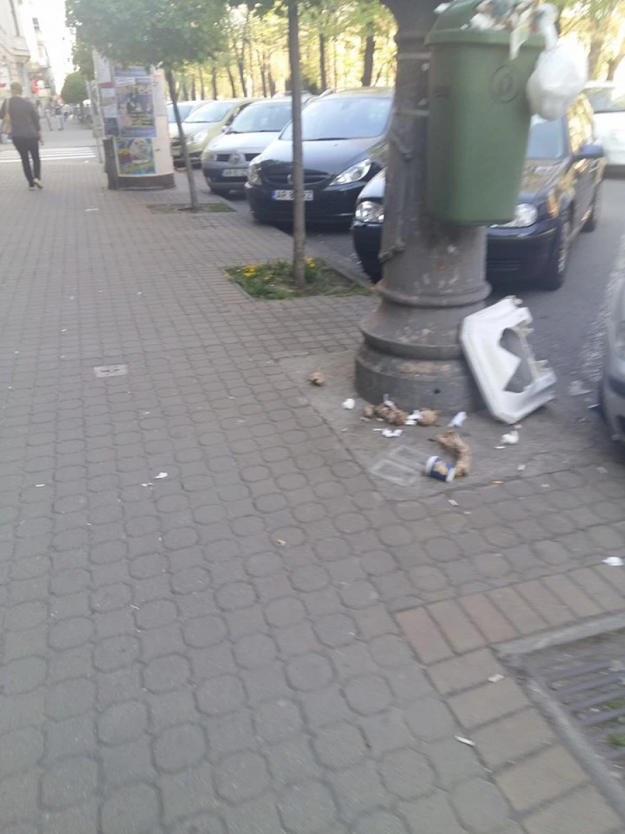 Falcă îngroapă Aradul în gunoaie. Primăria nu mai are contract de salubrizare (FOTO)