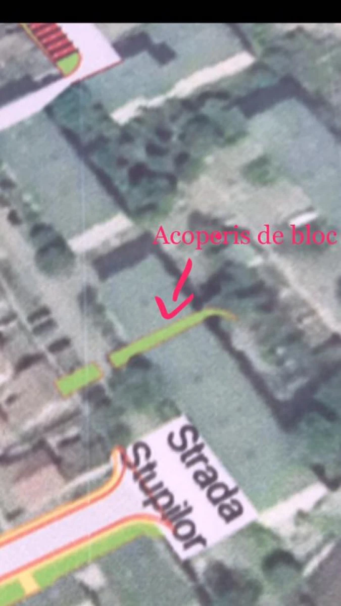 Falcă, un mare vizionar. Vrea parc pe acoperişul unui bloc