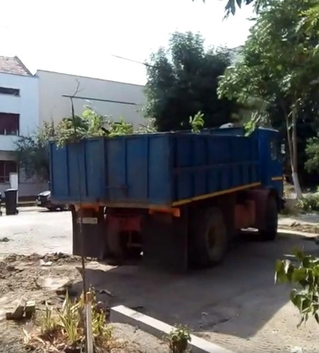 Falcă vrea titlul de Capitală Verde, dar smulge copaci şi betonează