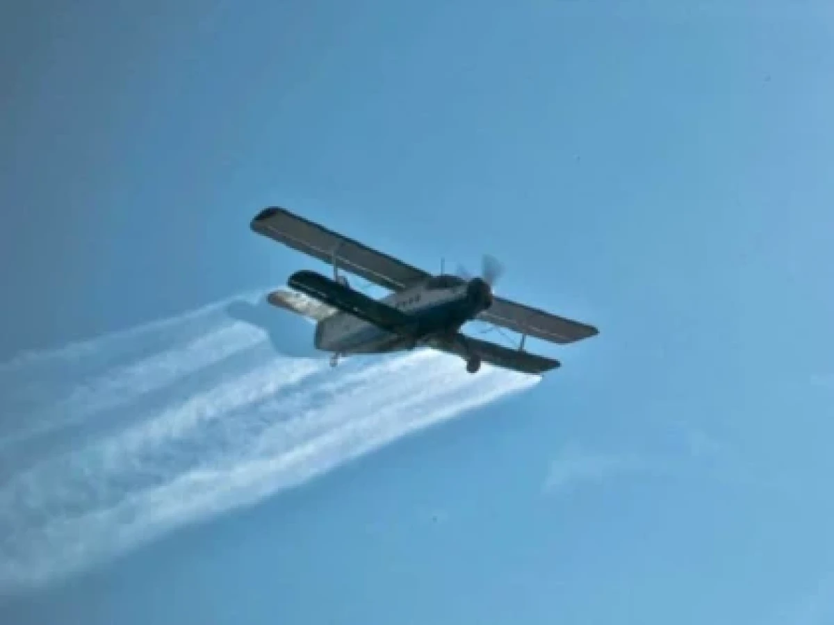 Fără dezinsecție din avion în Arad. Restricțiile legale împiedică tratamentele aeriene