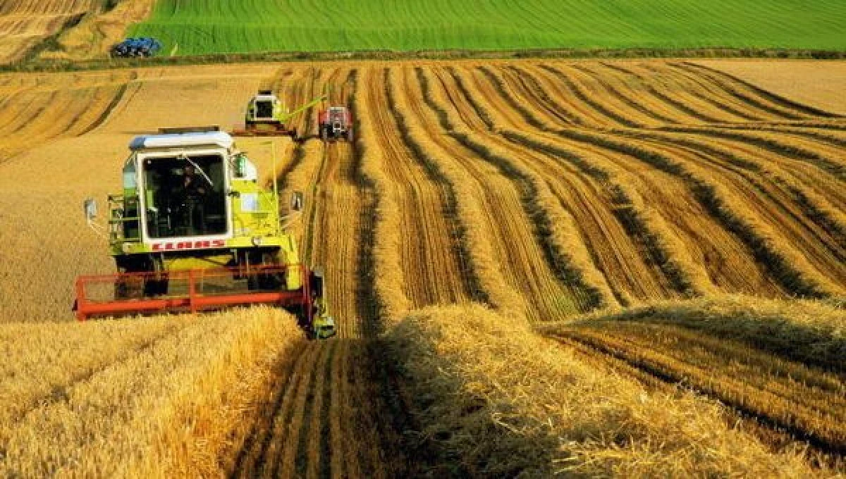 Fermierii avertizează: motorina din România a ajuns la prețuri similare cu cele din Marea Britanie