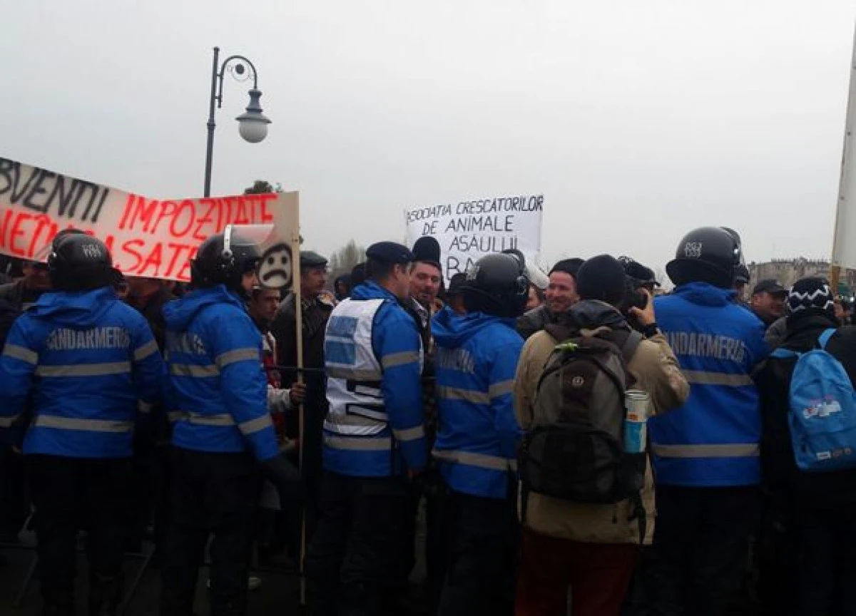FERMIERII, NEMULTUMITI DE INTARZIEREA PLATII SUBVENTIILOR,  PROTESTEAZA IN CAPITALA