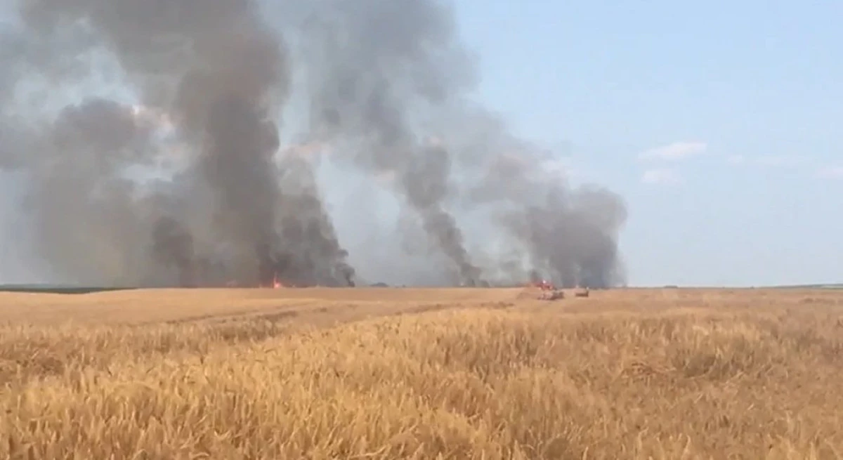 Fermierii nu mai au voie să incendieze miriştile, vegetaţia uscată şi resturile vegetale pe terenurile arabile