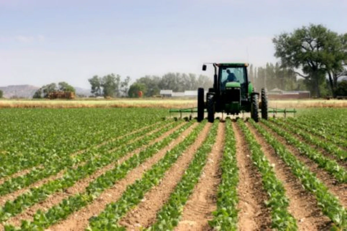 Fermierii reduc lucrările agricole din cauza costurilor. Până la 30% din terenuri riscă să rămână nelucrate