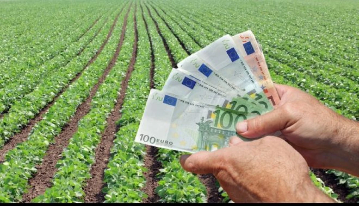 Fermierii vor primi în avans, începând din 16 octombrie, 70% din subvenţiile pe suprafaţă