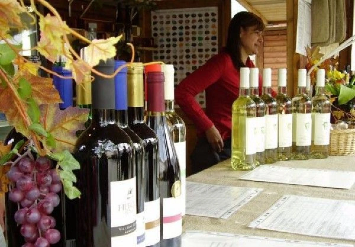 FESTIVALUL VINULUI ISI DESCHIDE VINERI PORTILE