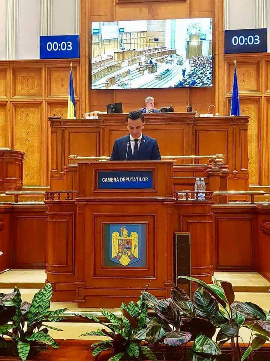 Florin Tripa: ”Locuitorii orașului Sântana, sub teroarea poluării agresive a Hammerer Aluminium Industries”
