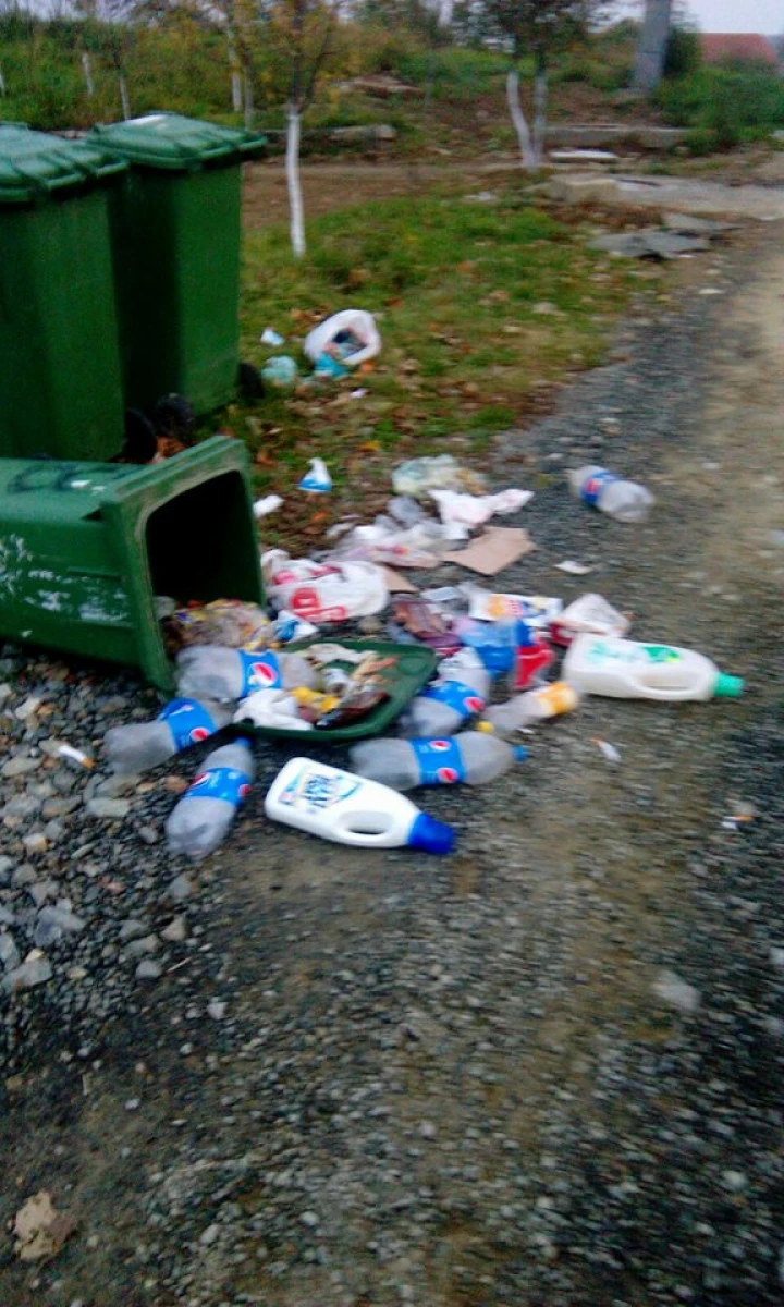 Focar la Miniş. Gunoiul nu este ridicat de două săptămâni (FOTO)