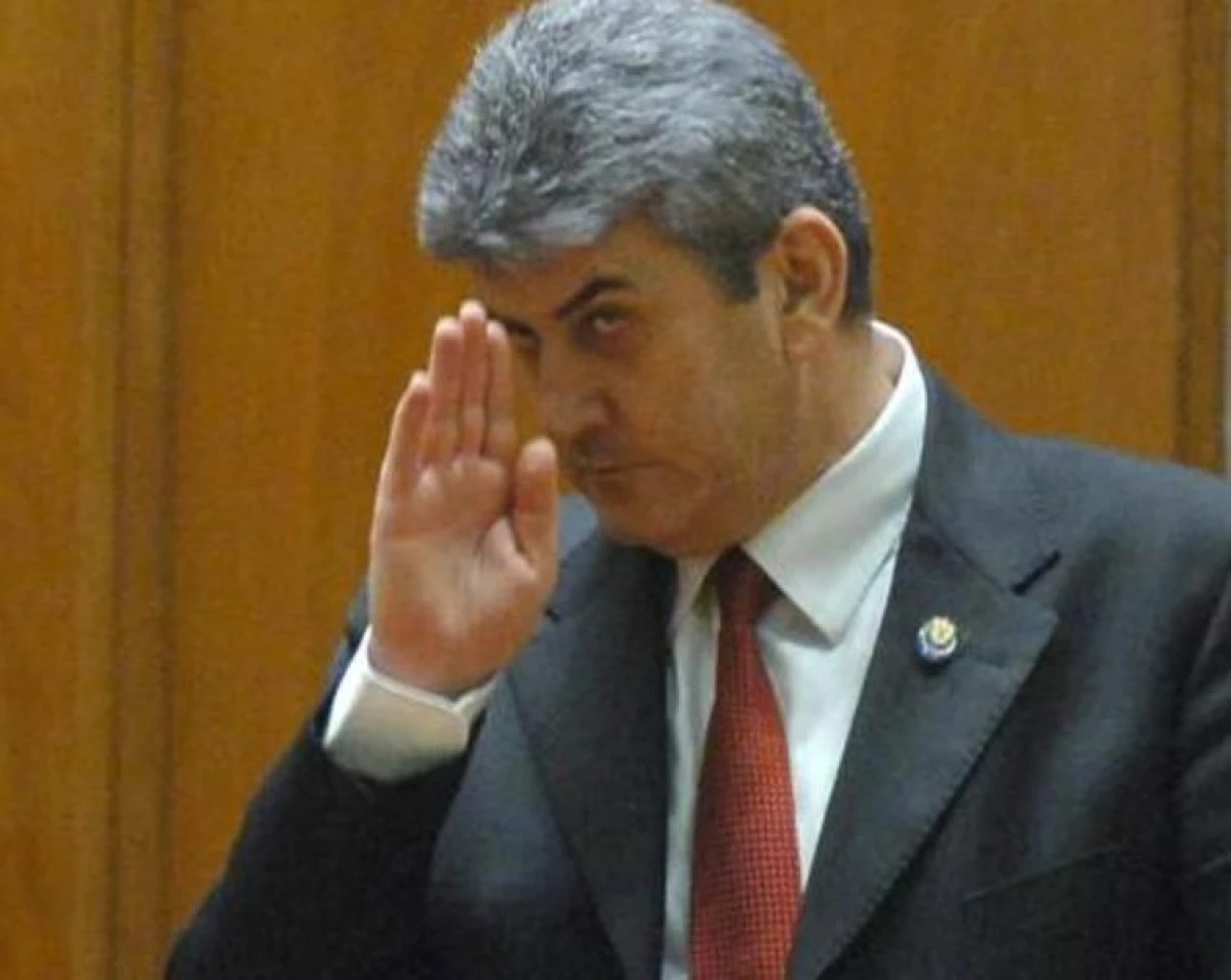 FOSTUL VICEPREMIER, GABRIEL OPREA, A PLAGIAT