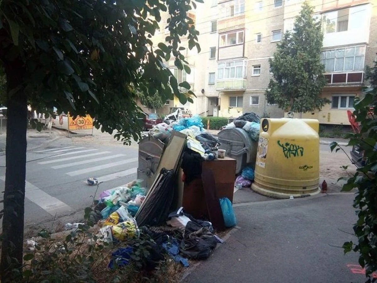 (FOTO) Arad, 2017. Festivalul gunoaielor continuă