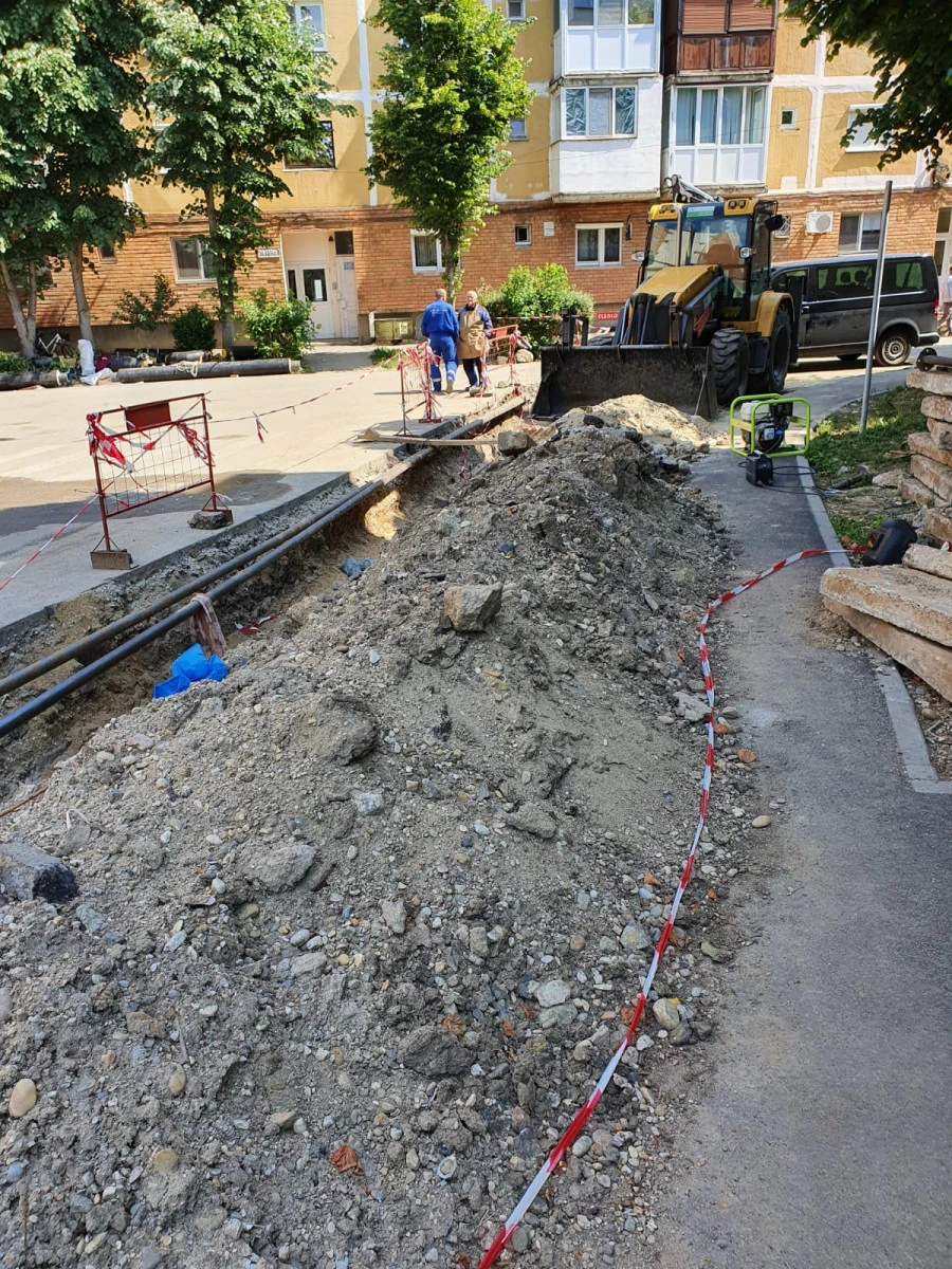(FOTO) Prințișorul Bibarț toamna „regenerează“, iar primăvara sparge tot