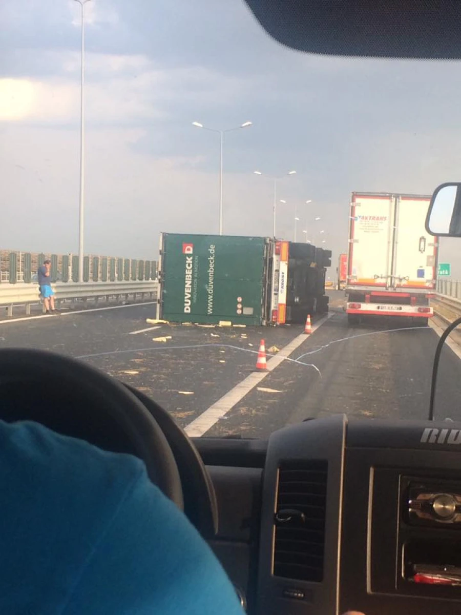 Furtuna a făcut prăpăd în Arad. Copaci căzuţi şi TIR-uri răsturnate (FOTO)