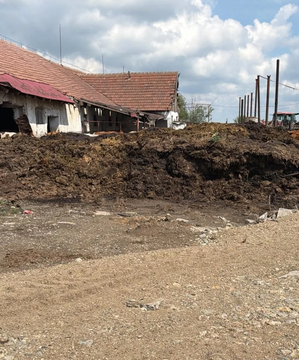 Garda de Mediu Arad a descoperit nereguli grave la o fermă de bovine. Amenzi de 65.000 de lei