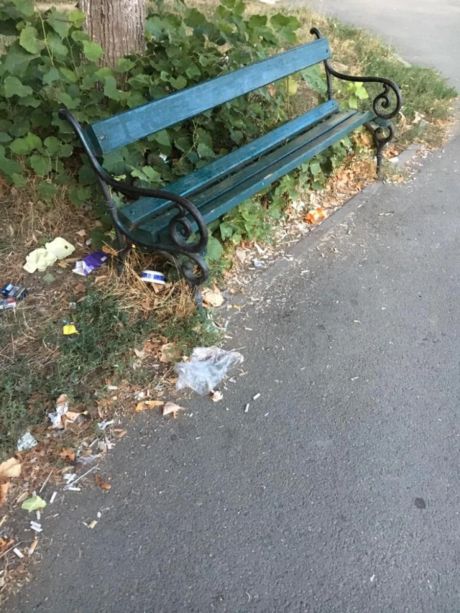 Gunoaiele au pus stăpânire pe spaţiile verzi din Vlaicu