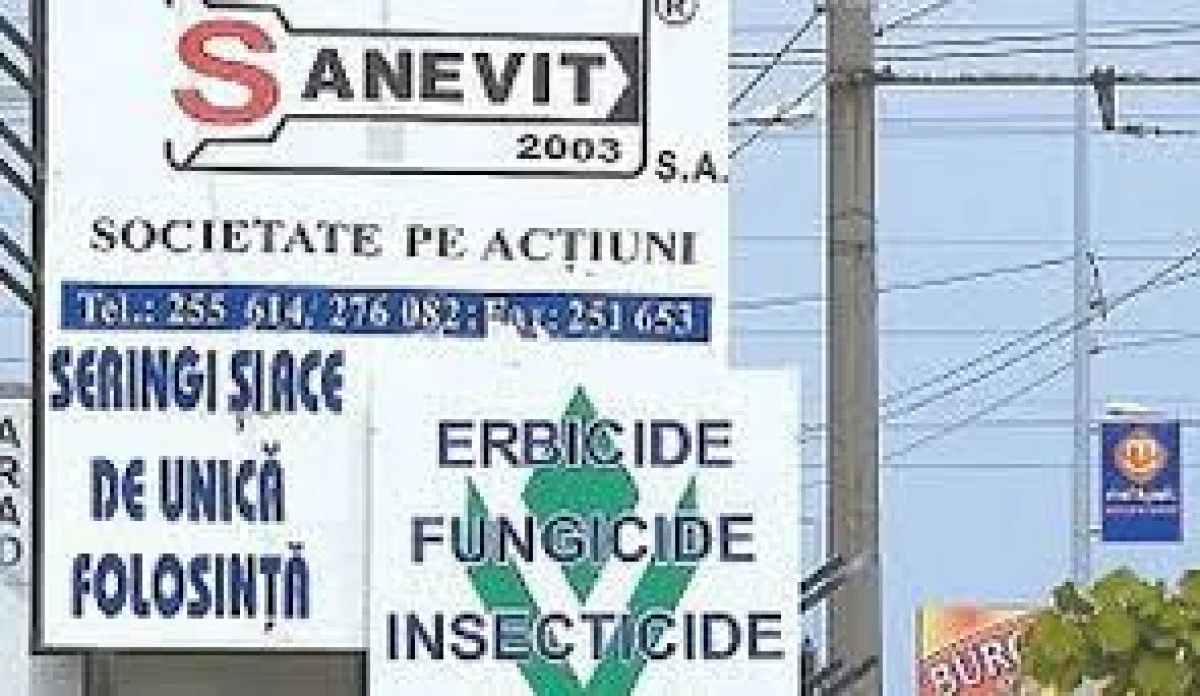 GUVERNUL A APROBAT BUGETUL SANEVITULUI PE ANUL IN CURS