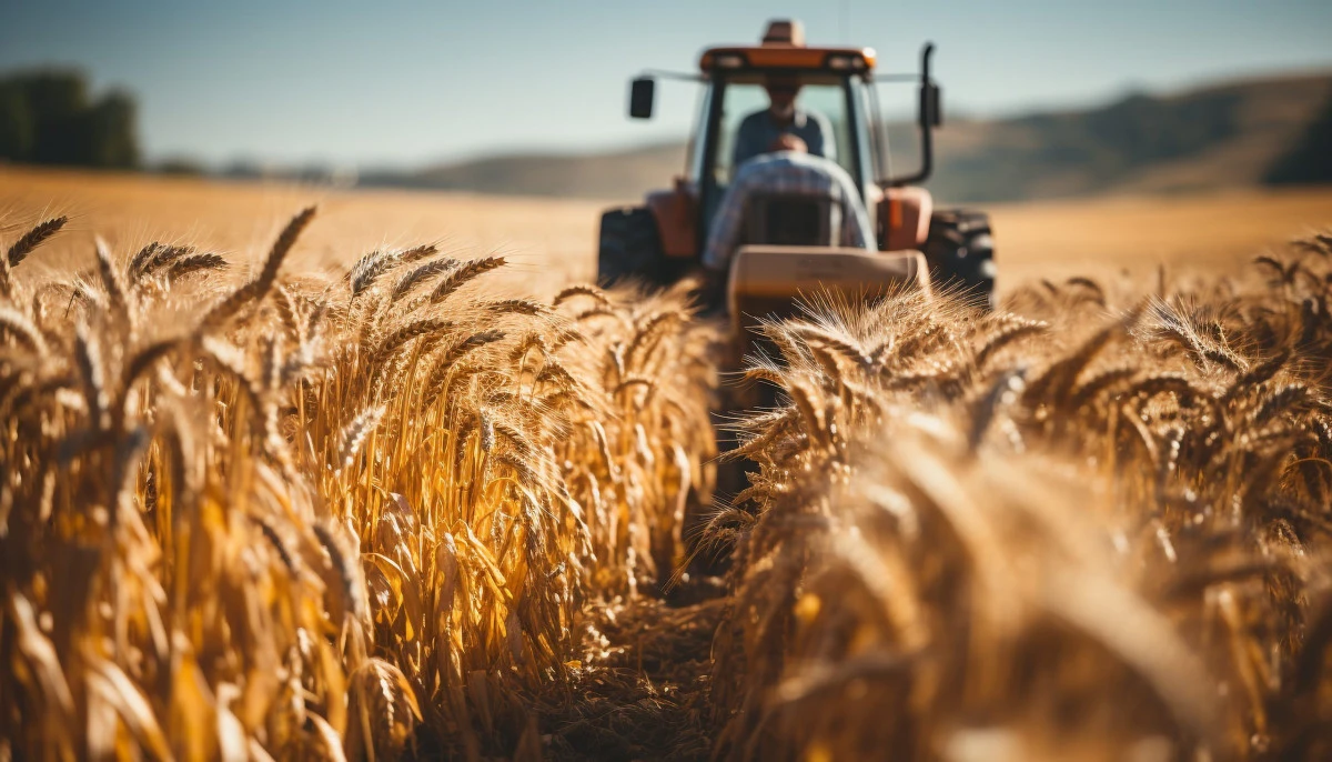 Guvernul majorează valoarea subvenţiei pentru motorină utilizată în agricultură