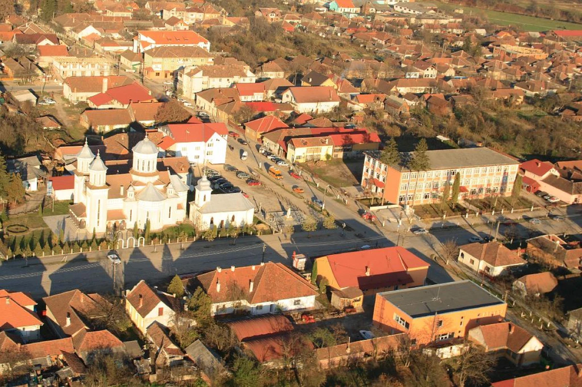 Guvernul, obligat de instanță să organizeze alegeri pentru Primăria Gurahonț