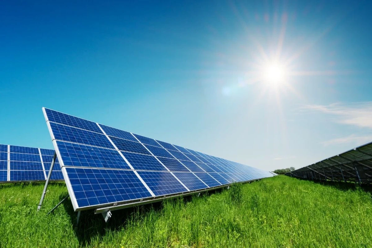Guvernul propune reguli mai dure pentru dezvoltatorii de parcuri eoliene şi fotovoltaice