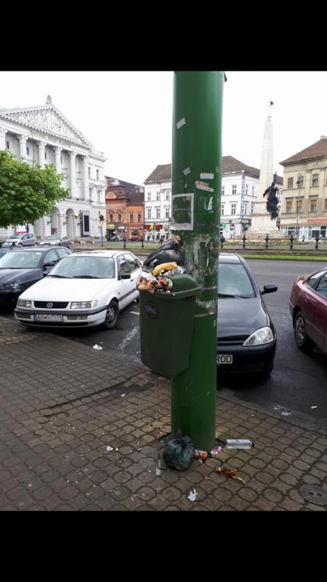 Haos total ! Aradul rămâne și fără salubrizarea stradală