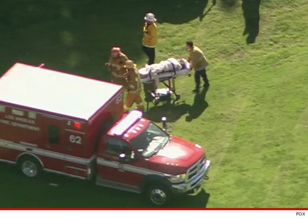 HARRISON FORD S-A PRABUSIT CU O AVIONETA