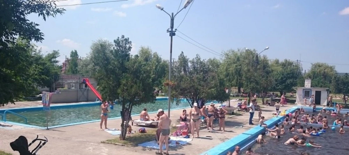 Hingherii au luat câinii de la “Bidi”. În spatele acţiunii, un consilier CARP