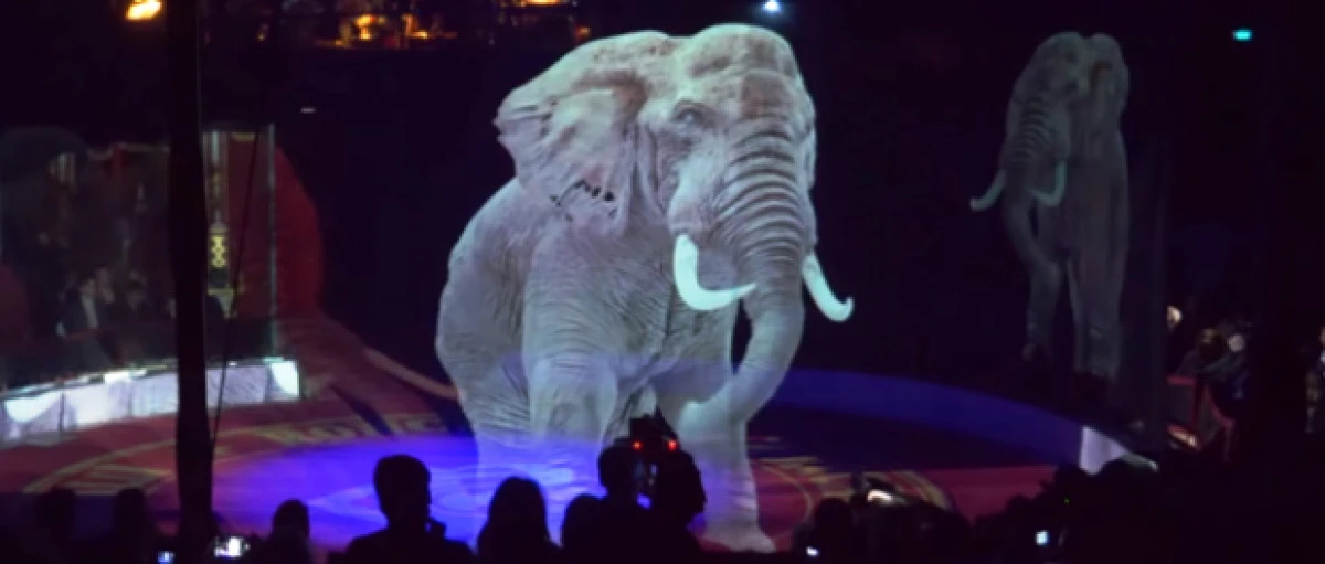 Holograme 3D în locul animalelor, o altfel de luptă împotriva cruzimii faţă de acestea
