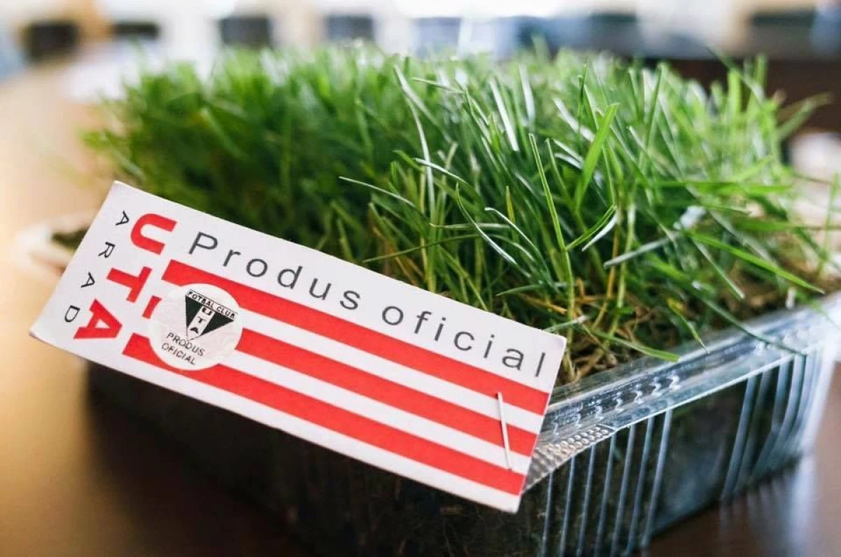 IARBĂ DE PE STADIONUL UTA SAU DE LA UNIVERSUL VERDE ? ACEASTA ESTE ÎNTREBAREA