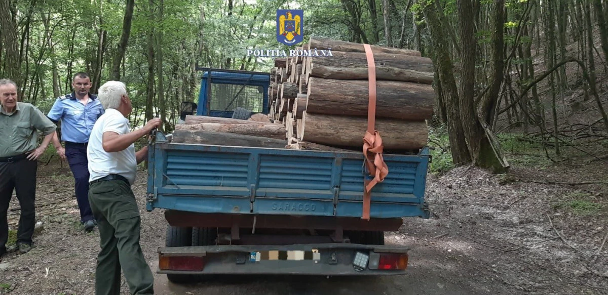 Ilegalități în domeniul silvic, la Ineu și Sebiș
