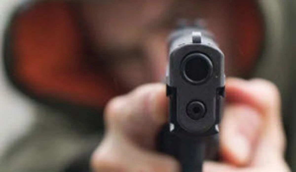 Împușcături în vestul țării! Soția unui fost procuror a depus plângere pentru amenințare