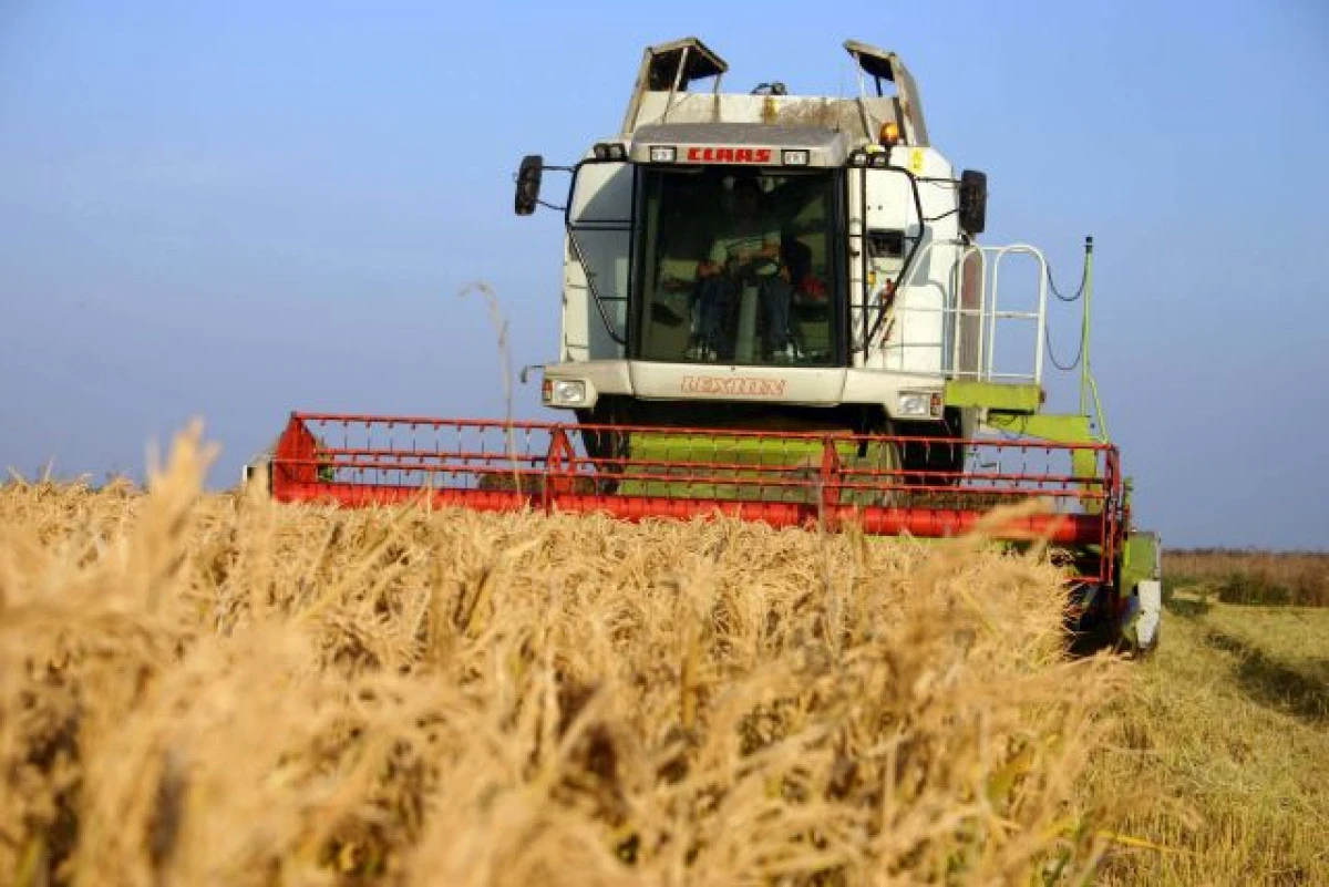 În anul 2022, valoarea producției din agricultură a scăzut cu peste 15%