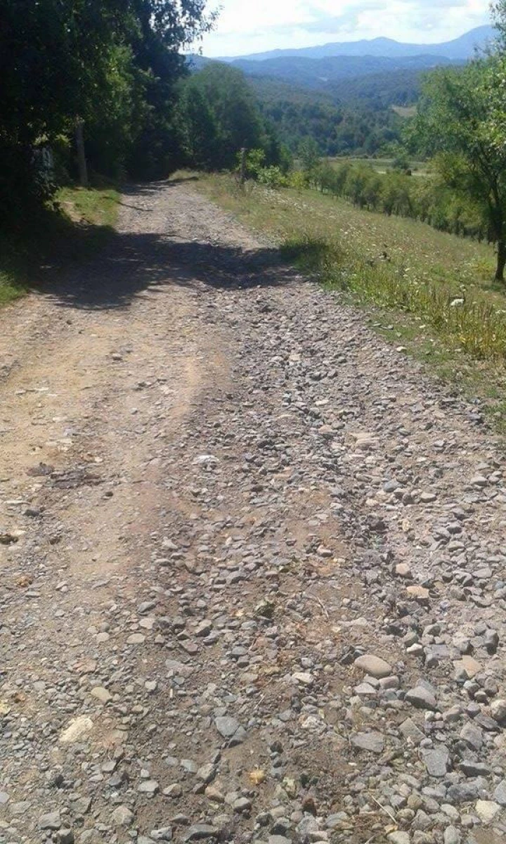În aşa hal arată un drum judeţean din Arad, anul 2017 (FOTO)