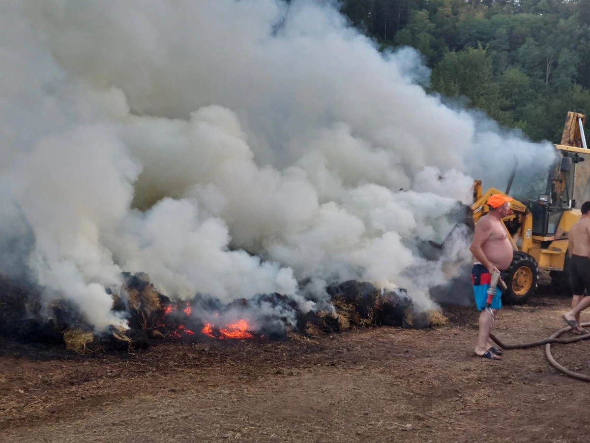 În ultimele 24 ore, toate subunitățile ISU Arad au desfășurat misiuni de stingere incendii