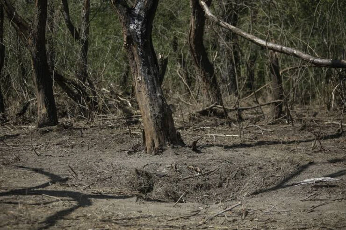 Încă o dronă a căzut în România. MApN a găsit un crater în locul în care a explodat