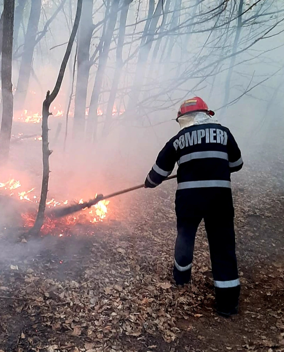 Încă șase incendii de vegetație, în doar 24 de ore, în Arad