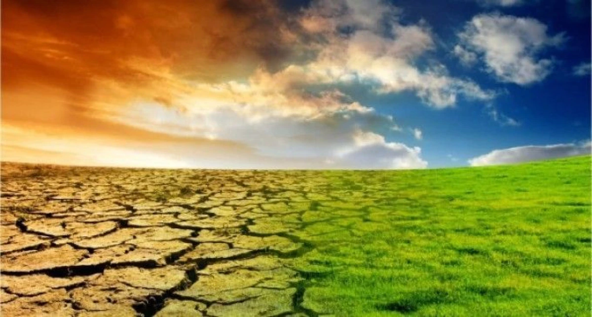 Încălzirea globală va creşte preţul alimentelor
