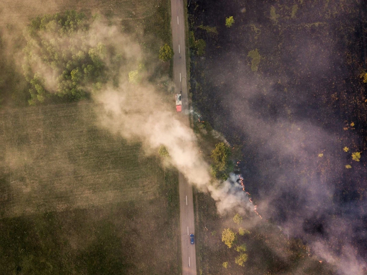 Incendiile de vegetație au afectat 133 de hectare în județul Arad, în doar patru zile