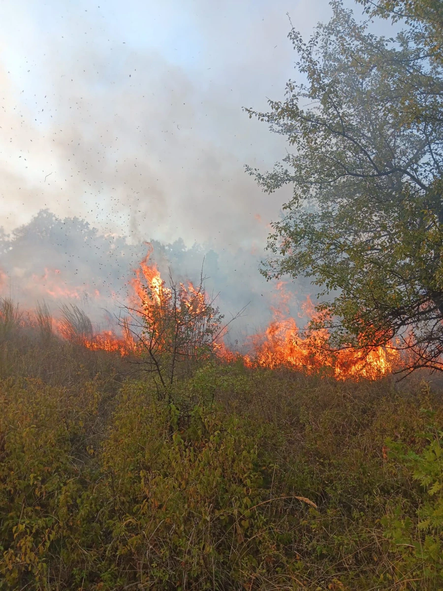 Incendiile de vegetație dau mari bătăi de cap pompierilor arădeni, care au avut opt intervenții în weekend